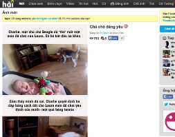 Share full source code Haivl.com - PHP