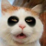 Trần Phan Trường Long