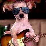 Nguyen Hoang Kim Long