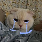 Nguyễn Phạm Khánh