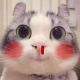 Nguyễn Văn Hoàng