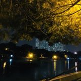 Đinh Thị Hoàng Sam