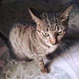 Nguyễn Xuân Hiển