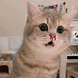 Khánh Nguyên Đinh