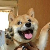 Nguyễn Mạnh Dũng