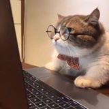 Nguyễn Chí Dương