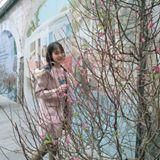 Phạm Hoàng Thiên Hương