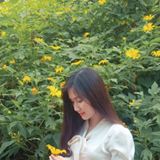 Nguyễn Phương Thảo