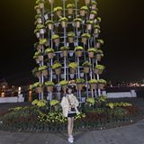 Trương Thúy Giang