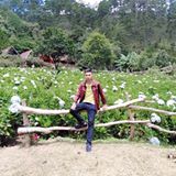 フーイン タン トゥ