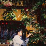 Nguyễn Thanh Tùng