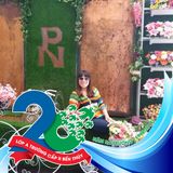 Bình Phạm Thị Thanh