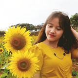 Phương Thảo Nguyễn