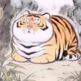 Nguyễn Phan Thanh Hải