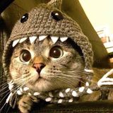 Đặng Hữu Thịnh