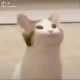 Nguyễn Trung Nguyên