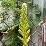 Nguyễn Thế Hội