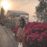 Tống Khánh Mai Quỳnh