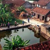 Nguyen Gia Loc