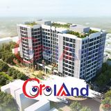 Thanh Phong Goroland