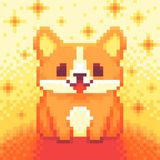 Nguyễn Trung Dũng