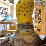 Nguyễn Đức Phúc