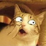 Nguyễn Hoàng Long