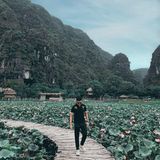 Hưng Nguyễn