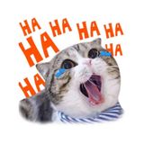 Nguyễn Đình Thìn 